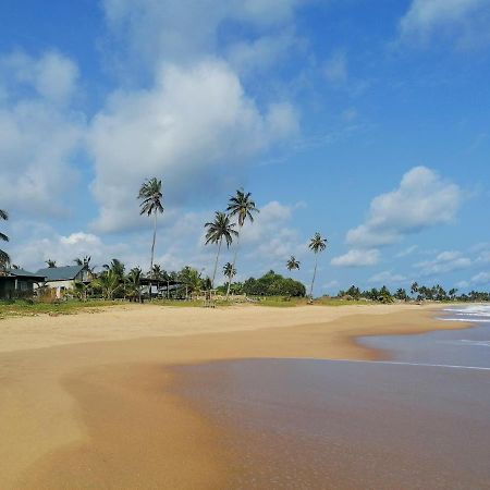 Afro Beach Eco Resort Butre Exterior foto