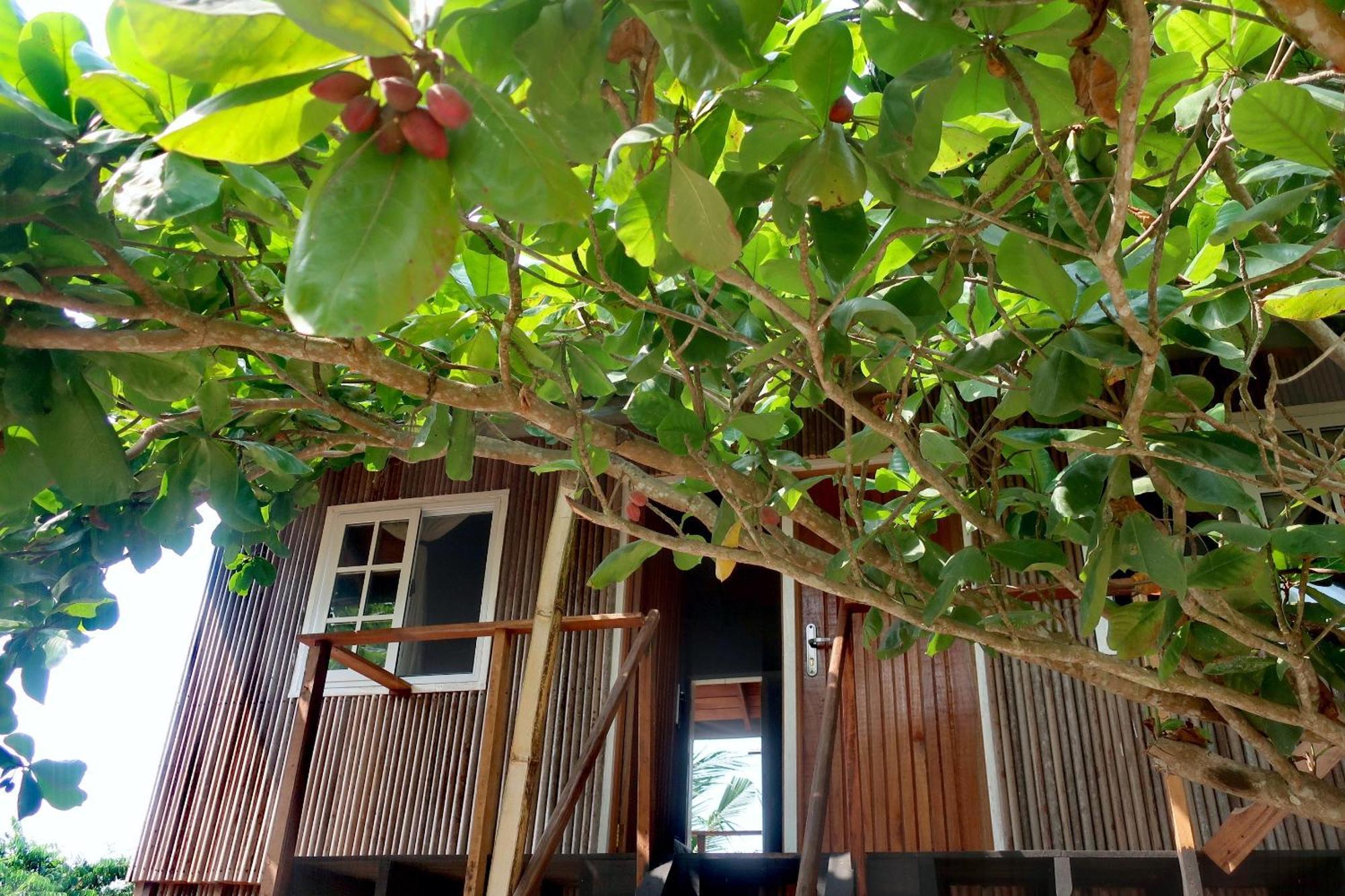 Afro Beach Eco Resort Butre Quarto foto